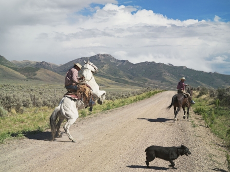 Lucas Foglia, Casey and Rowdy Horse Training, 71 Ranch, Deeth, Nevada, 2012