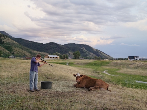 Lucas Foglia, Adam Killing a Cow, Mortensen Family Farm, Afton, Wyoming, 2010